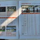 창의 사고 보드&체스 이미지