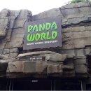 팬더랜드 이미지