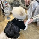 너를닮은케이크 이미지