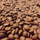 블루마운틴 스크린 이미지