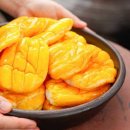 원조김점례할머니고추장