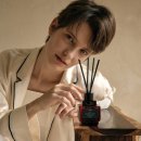 오브제-옥수수 이미지