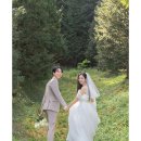 단비스튜디오 이미지