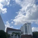 11500-8-18-19 | [공지] 🏖 스플라스 리솜 리조트 &amp; 수영장 이용 후기 (8/18~19 방문)