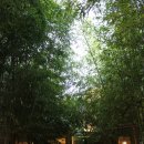 상주 복룡동 석조여래좌상 이미지