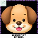 저스트도그 단구점 이미지