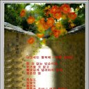 백향 이미지