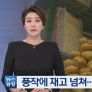 바보농산물유통 브런치