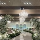 도자기 마음챙김 | [W4-2] 대구 27년 웨딩홀 투어, 퀸벨호텔 브리에가든(27년 견적O)