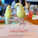 리프패럿통영점