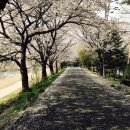 옴니암니 | 1. 아기가 생긴다는 것은