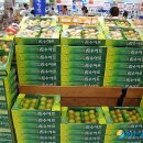 춘천농협 산지유통센터 이미지