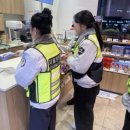 거북섬동 이미지