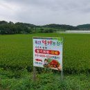 가작농장 네이버블로그