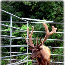 청솔2목장 이미지