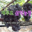 삼덕농장 이미지