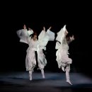 울산광역시문화예술회관대공연장 이미지