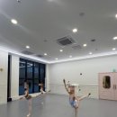 아르떼무용학원 이미지