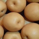 호준농장 이미지