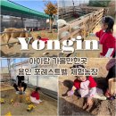 닭사랑농장 | 용인 아이랑 갈만한곳 포레스트벨 체험 농장 주말 나들이 추천