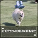 개리비안베이 이미지