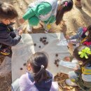 자연유치원 이미지