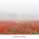 분황사주차장 이미지