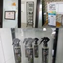 브로디테일링