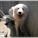 간석1동-27 이미지