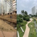 장다리천 이미지