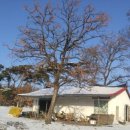 무학사슴농장 이미지