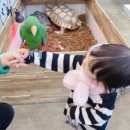 하이애니멀샵 이미지