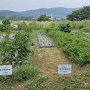 3공단1로1-16 이미지