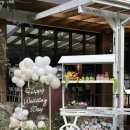 파티오-25 이미지