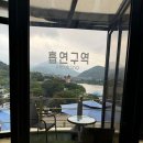 카페그리심 이미지