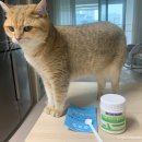 외송물산 이미지