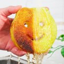 스마일 크럽 이미지