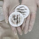 디유정보 이미지