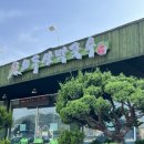 오두산막국수(통일로직영점) | 파주 문산 통일로 맛집_오두산막국수 문산직영점_오두산 막국수 주차장 메뉴_물막국수 메밀소바_더운...