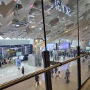 남원가 | [여행기록] 1일차|제주도|김포공항|바이오인증등록|132번버스|남원읍|남원가|돔베고기