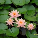 대호 노래방 이미지