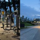 등나무문화공원 이미지