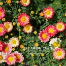 열세테이블 이미지