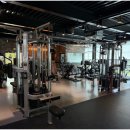 식스팩 휘트니스 이미지