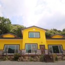 장태산 노랑펜션 이미지