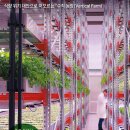 유인농장 이미지