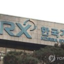 폴루스글로벌