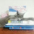 리얼오가닉