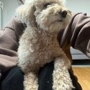 상상이룸센터 | 2026.03.01-03.07