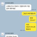 해외여행 혼자서 가는 남편 이미지